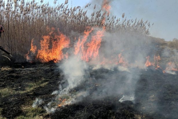foto video incendiu de proportii la vegetatia stuficola din macin pompierii lupta cu flacarile in zona greu accesibila 67bc73ad92c9b