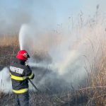 foto video incendiu la stuf aproape de somova focul s a extins pe o suprafata de 3 000 de metri patrati 67acafa75a8ec