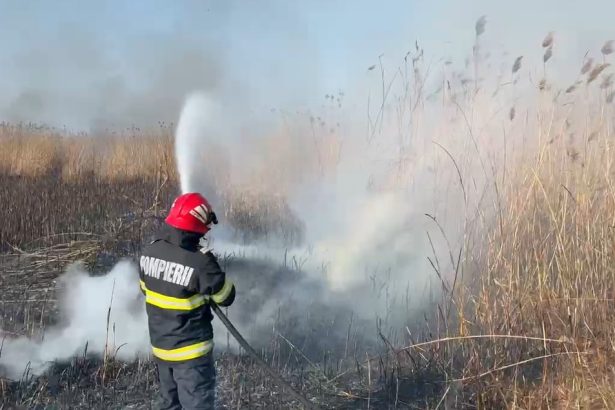 foto video incendiu la stuf aproape de somova focul s a extins pe o suprafata de 3 000 de metri patrati 67acafa75a8ec