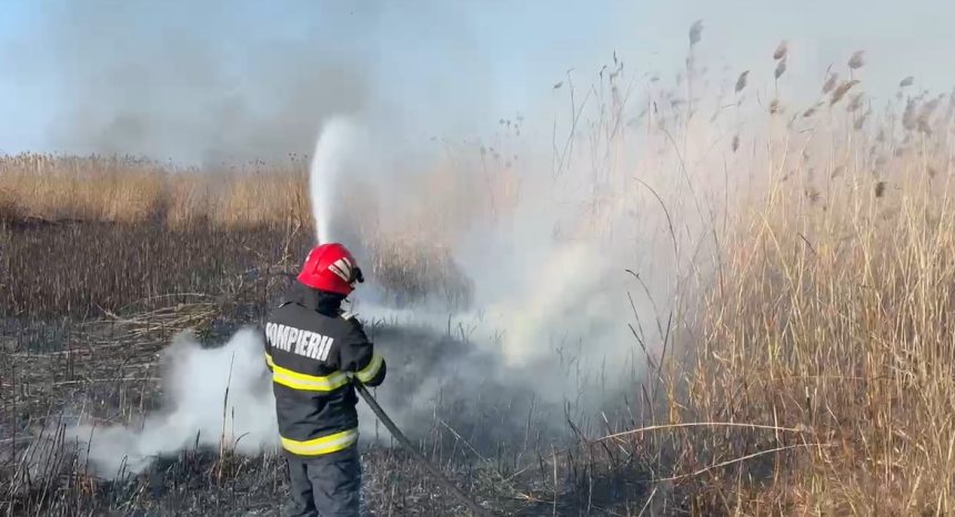 foto video incendiu la stuf aproape de somova focul s a extins pe o suprafata de 3 000 de metri patrati 67acafa75a8ec