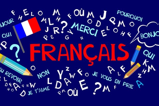 francezii de rand pica testele de limba pregatite de guvern pentru strainii care vor sa se stabileasca in tara 67b0c98330c5b