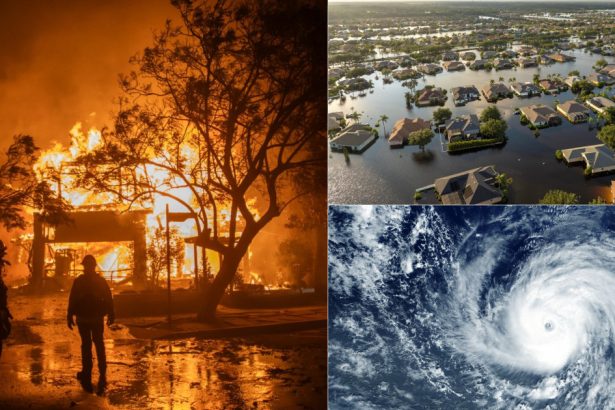 furtuni inundatii si caldura extrema orasele cu milioane de locuitori din sua care ar putea deveni nelocuibile in urmatoarele decenii 67a989125d0a1
