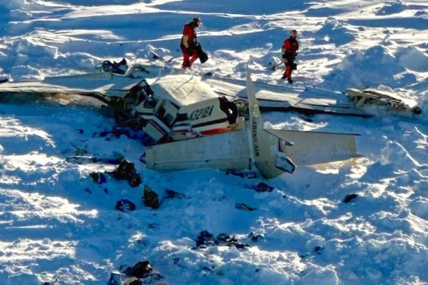 galerie foto avionul de pasageri dat disparut in alaska a fost gasit toti cei zece oameni aflati la bord au murit 67a70d0b9e0dc