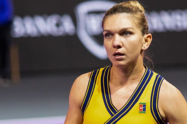 galerie foto jucatoare cu jucatoare ce au facut halep cirstea begu bogdan ruse si cristian la transylvania open in anii anteriori 679e2a175963e