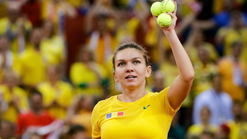 halep dezavantajata din cauza nationalitatii cum a platit in mod repetat pentru ca s a nascut in romania 67a3148d1ef87