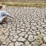Încălzirea globală accelerează: zonele de pe Pământ cu temperaturi insuportabile pentru oameni ar putea tripla în acest secol 3 incalzirea globala accelereaza zonele de pe pamant cu temperaturi insuportabile pentru oameni s ar putea tripla in acest secol 67bd4fc3a898a
