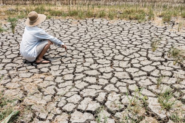 incalzirea globala accelereaza zonele de pe pamant cu temperaturi insuportabile pentru oameni s ar putea tripla in acest secol 67bd4fc3a898a