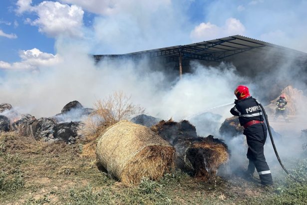 incendiu in cogealac baloti distrusi intr un incendiu 67b03e32b57bc