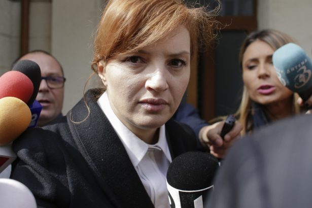 ioana basescu audiata in dosarul schemei nordis a fost unul dintre notarii implicati in tranzactiile imobiliare 67a0bbf965aa7