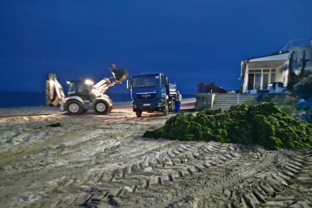 iridex se va ocupa de curatenia plajelor valoarea contractului depaseste 15 milioane de lei 67a099105e823
