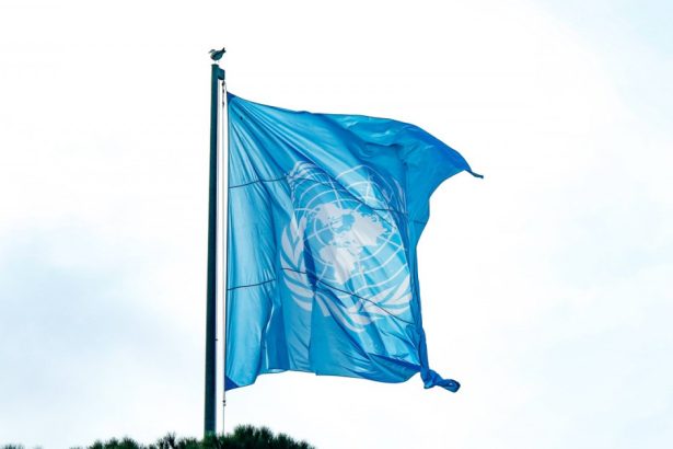 israelul se retrage din consiliul drepturilor omului al onu 67a466927dd22