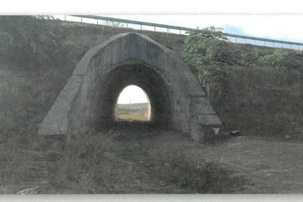 licitatie de milioane pentru reparatia podului de la deleni ce firme sunt interesate 67a1ac1de0ed2