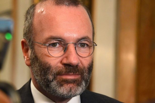 manfred weber ppe ramane alaturi de romania pentru a asigura alegeri corecte si libere fundamentul oricarei democratii solide 67c0bc27cc828