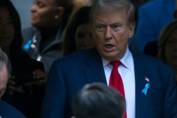 membru al congresului republicanii sunt ingroziti sa il contrazica pe donald trump din cauza amenintarilor fizice 67c0a9b5ec6ae
