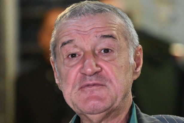 news alert gigi becali transfera un jucator din superliga il iau cat plateste fcsb 67a1368e39e48