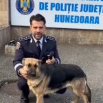 o catelusa care a disparut din hunedoara in ajunul craciunului dupa ce s a speriat de petarde a fost gasita dupa o luna si jumatate 67ab4b47bef2c