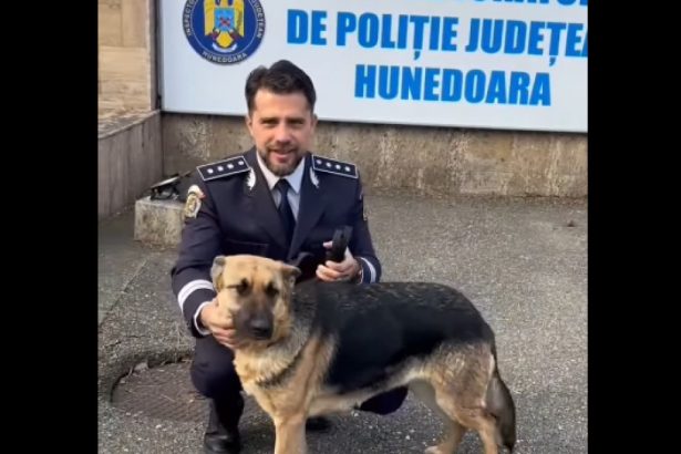 o catelusa care a disparut din hunedoara in ajunul craciunului dupa ce s a speriat de petarde a fost gasita dupa o luna si jumatate 67ab4b47bef2c