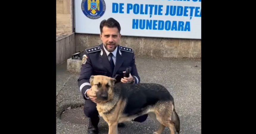 O cățelușă dispărută din Hunedoara în Ajunul Crăciunului, după ce s-a speriat de petarde, a fost găsită după o lună și jumătate. 1 o catelusa care a disparut din hunedoara in ajunul craciunului dupa ce s a speriat de petarde a fost gasita dupa o luna si jumatate 67ab4b47bef2c