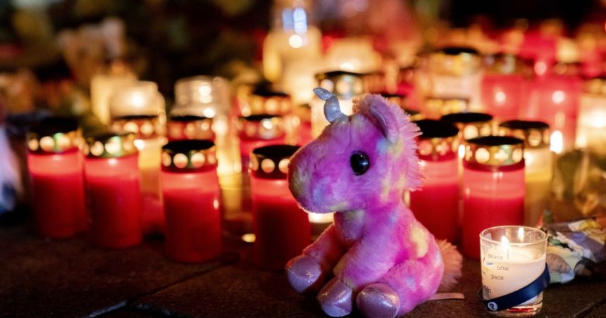 o femeie de 37 de ani si fiica ei de 2 ani au murit in atentatul de la munchen amel a fost un om care a luptat pentru dreptate 67b1f0b697def