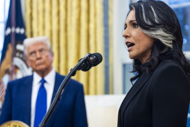 o noua victorie pentru trump controversata tulsi gabbard o fosta democrata cu opinii pro ruse a devenit sefa serviciilor secrete 67ae1be13b85f