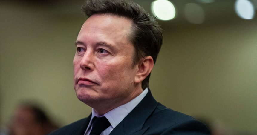 o tanara de 26 de ani influencer maga spune ca are un copil cu elon musk reactia miliardarului care are alti 12 copii 67b37de475b53