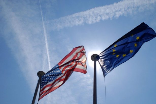 patru mari grupuri politice din pe spun ca europa nu mai poate fi dependenta de sua pentru a si apara interesele 67b5e9136b2b0