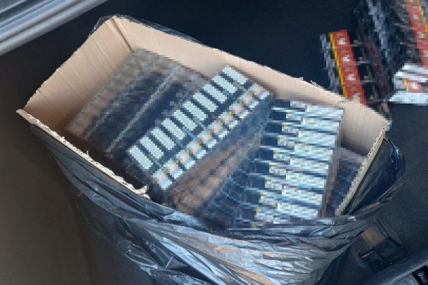 peste 50 000 tigarete provenite din bulgaria introduse ilegal in tara confiscate de politistii de frontiera constanteni 67a20cd416151