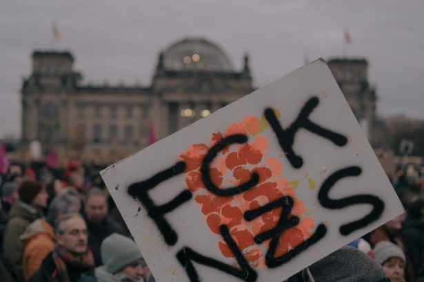 peste 50 dintre germani sustin cooperarea cu partidul extremist afd in problema imigratiei 67a3853f32719