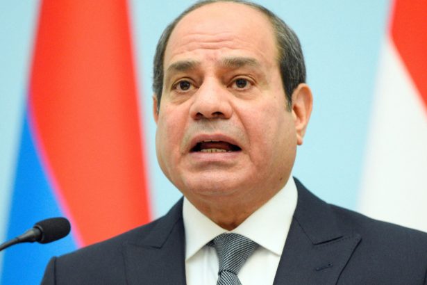 presedintele egiptului ii raspunde lui trump si cere ca palestinienii sa nu fie stramutati din fasia gaza 67ab6e62aa9ea