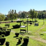primaria constanta investeste in spatiile verzi urmeaza modernizari majore in parcul poarta 6 si parcul tabacariei 67b3359f16e09