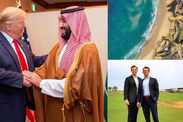 riviera din gaza si terenuri de golf in mijlocul desertului care sunt interesele de afaceri ale familiei trump in orientul mijlociu 67ac2c0c6a149