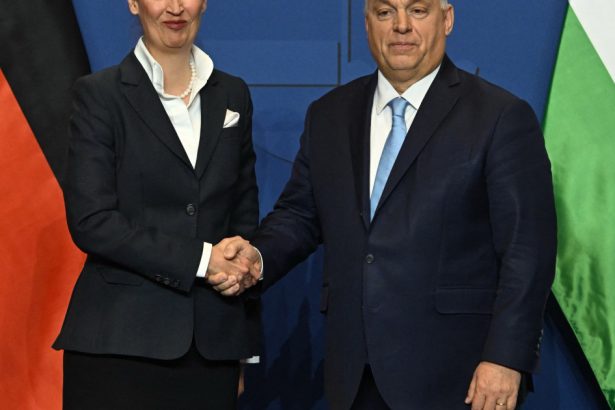 sefa extremistilor din germania il lauda pe viktor orban si numeste ungaria marele nostru model 67acaece56d2f