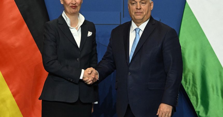 Șefa extremiștilor din Germania îl apreciază pe Viktor Orban și declară că Ungaria este „marele nostru model” 1 sefa extremistilor din germania il lauda pe viktor orban si numeste ungaria marele nostru model 67acaece56d2f