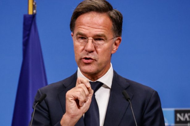 seful nato mark rutte europa trebuie sa si creasca cheltuielile militare la peste 3 din pib 67b77da5abcb7