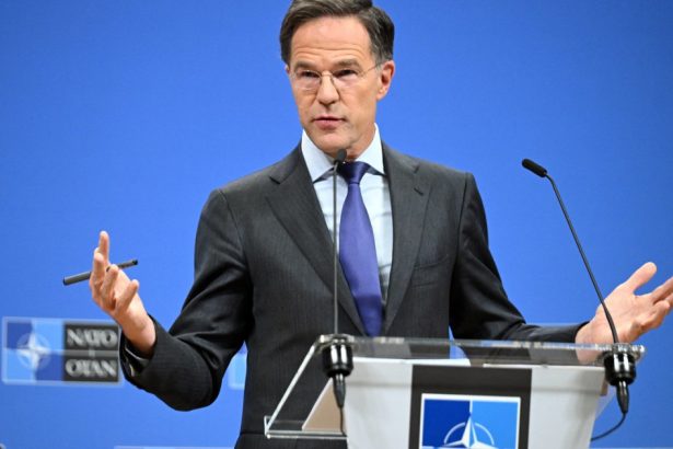 seful nato mark rutte sustine initiativa lui trump privind impartirea mai mare intre sua si ue a ajutorului pentru ucraina 67aca0464ff84