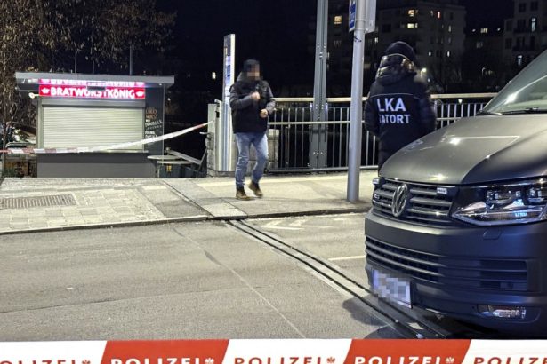 sirianul care a injunghiat mai multi oameni in sudul austriei s a radicalizat pe tiktok ce au descoperit autoritatile 67b365aaccdbe