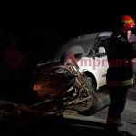 sofer achitat definitiv dupa un accident infiorator pe dn 22 constanta tulcea initial fusese condamnat 67b01b22a4c03