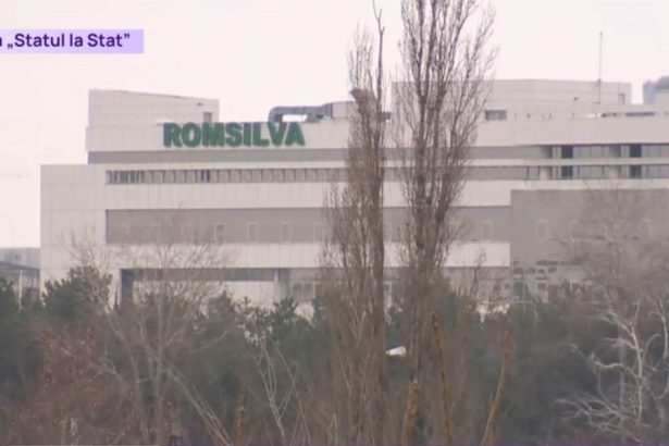 statul la stat sefii romsilva isi trateaza stresul cu sporuri ce prevede contractul colectiv de munca 67b6c2af9c420