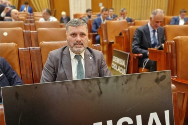 stelian ion si remus negoi usr la protestul din parlament mandatul lui ciolacu nu a fost niciodata despre despre binele oamenilor a fost despre privilegii lux si dispret fata de romani 67a3870e1aa87