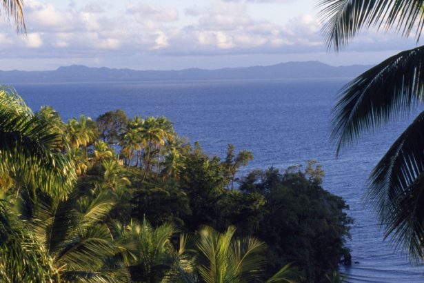 sua vrea sa exploateze pamanturile rare din republica dominicana rubio sa nu ajunga in mainile unei tari care nu e prietena 67a60feab4ad7