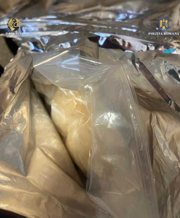 Tineri prinși în flagrant cu 20 kilograme de cristal și 400 grame de cocaină ascunse în saci de mâncare pentru câini. 1 tineri prinsi in flagrant cu 20 kilograme de cristal si 400 grame cocaina drogurile erau ascunse in saci de mancare pentru caini 67b1e7a616894