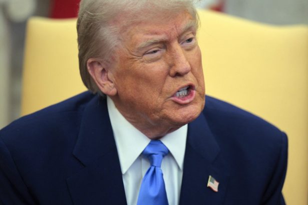 trump a refuzat sa l numeasca dictator pe putin dupa ce a spus o despre zelenski nu folosesc aceste cuvinte cu usurinta 67bcca7009596