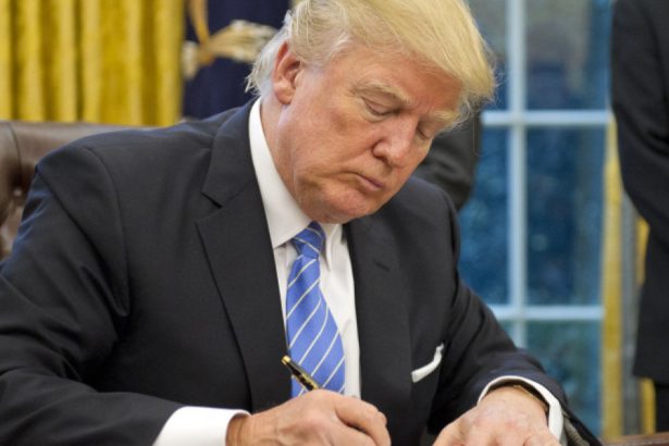 trump va semna un decret ce stabileste engleza ca limba oficiala a sua 67c217562481f