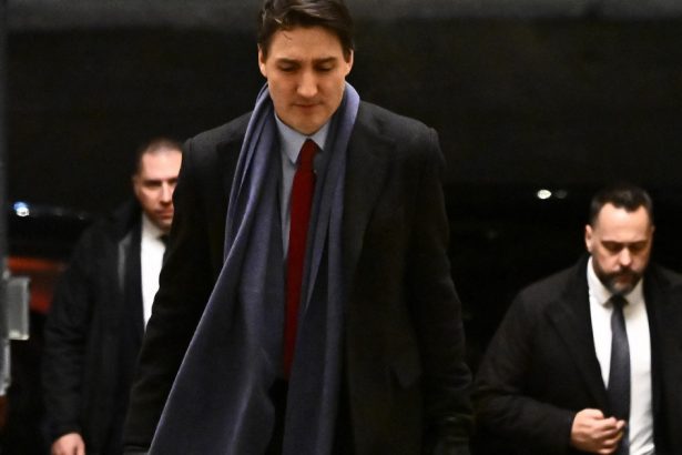 trump va suspenda taxele vamale impuse canadei pentru 30 de zile cum l a convins justin trudeau pe presedintele american 67a1b907564a3