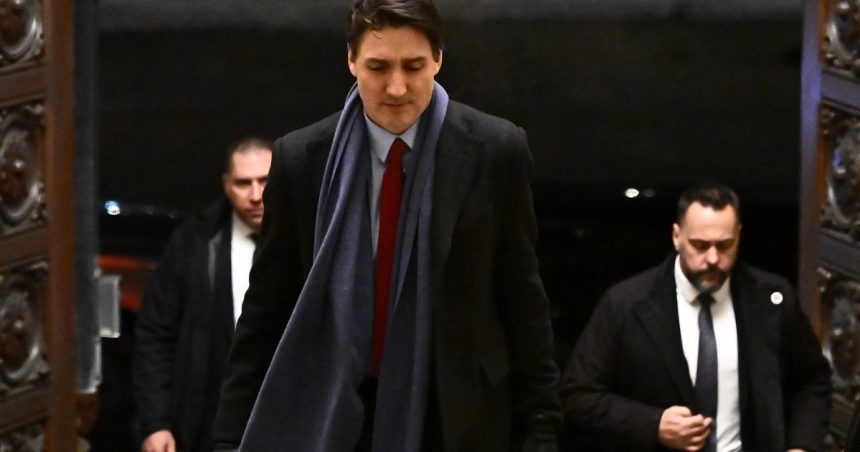 trump va suspenda taxele vamale impuse canadei pentru 30 de zile cum l a convins justin trudeau pe presedintele american 67a1b907564a3