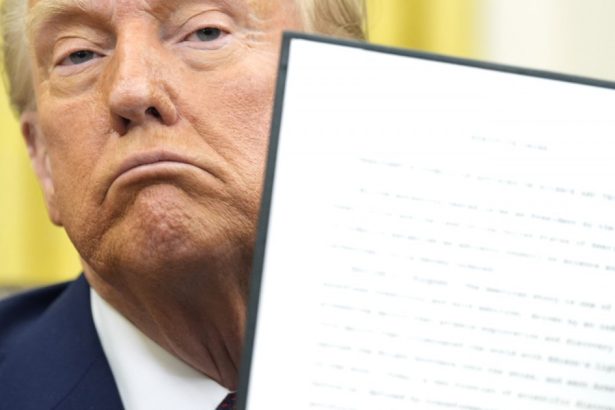 un promotor al teoriilor conspiratiei a fost desemnat de trump pentru un post important la departamentul de stat 67a362702ae02