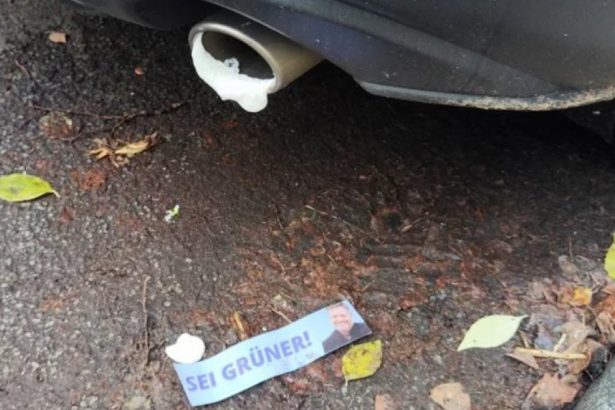 un roman suspect ca a vandalizat sute de masini in germania impreuna cu alti tineri o posibila legatura cu rusia 67a39739c6071