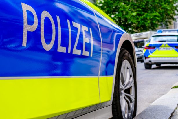 un sirian a injunghiat mai multi trecatori pe strada in austria un baiat de 14 ani a murit 67b0feb4c08be