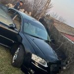 un sofer fara permis a intrat cu masina intr un gard din nicolae balcescu 67ae149dadd77