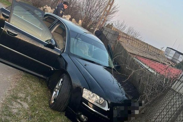 un sofer fara permis a intrat cu masina intr un gard din nicolae balcescu 67ae149dadd77